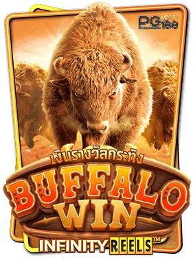 buffalo-win