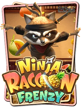 ninja-raccoon-frenzy